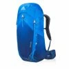 Backpacks & Duffels Gregory Men's Optic 58