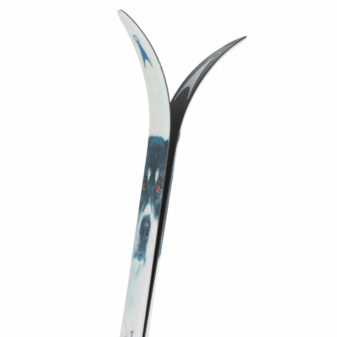 Cheap 🔔 Asnes Finnmark 54 BC 💯 6 Asnes Finnmark 54 BC