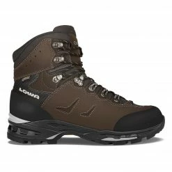 Approach Shoes Lowa Camino GTX Men's