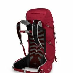 Backpacks & Duffels Osprey Talon 33 Men's