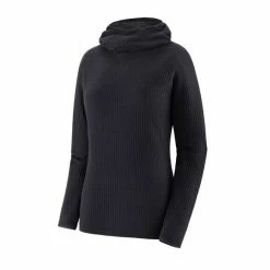 Patagonia Women's Capilene Air Hoody