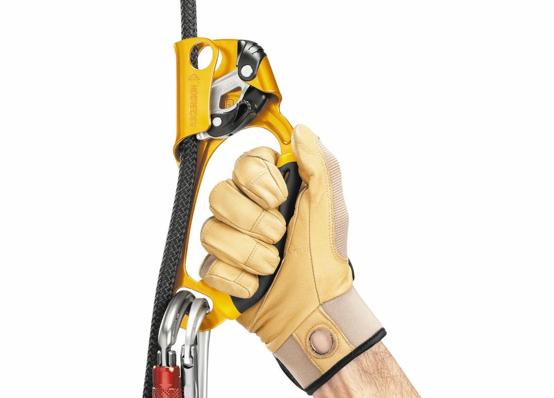 Coupon ❤️ Petzl Ascension Ascender Hardware 💯 4 Petzl Ascension Ascender Hardware