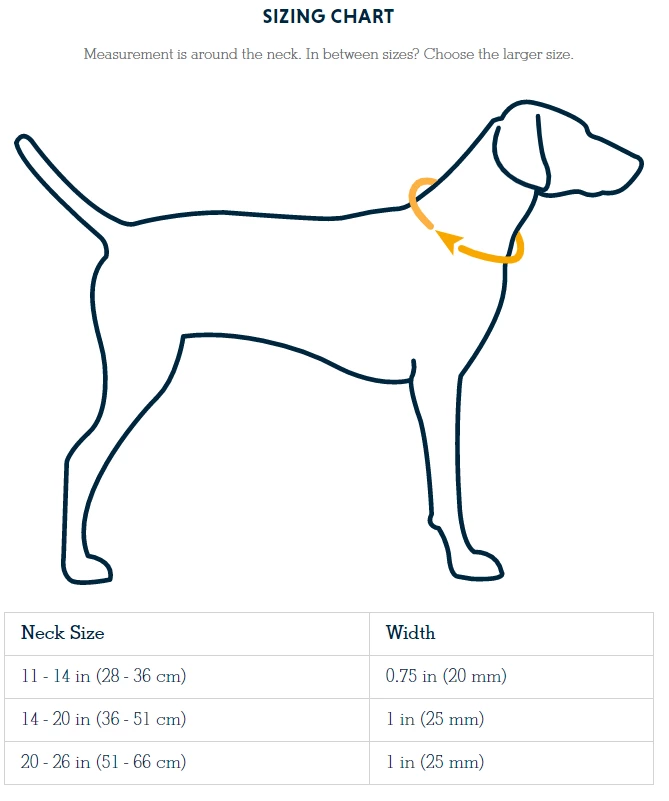 Best reviews of ✨ Ruffwear Crag 🐶 Dog Collar Pets 👏 6 Ruffwear Crag Dog Collar Pets