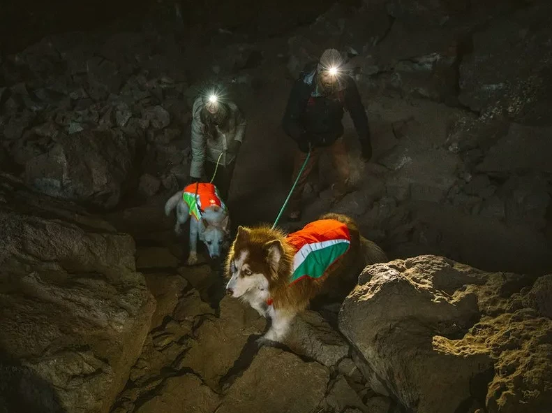 Best Sale 🔥 Ruffwear Lumenglow High-Vis Jacket 😀 4 Ruffwear Lumenglow High-Vis Jacket