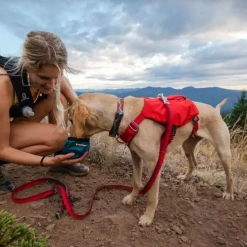 Coupon 🤩 Pets Ruffwear Switchbak 🐶 Dog Harness 😍 7 Pets Ruffwear Switchbak Dog Harness