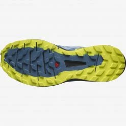 Salomon Sense Ride 4 Men's Footwear