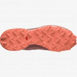 Discount 👍 Footwear Salomon Speedcross 5 👩 Women's 🎁 9 Footwear Salomon Speedcross 5 Women's