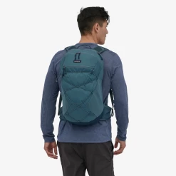 Patagonia Altvia Pack 22L