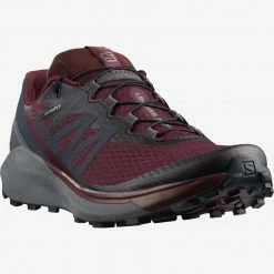 Footwear Salomon Women's Sense Ride 4